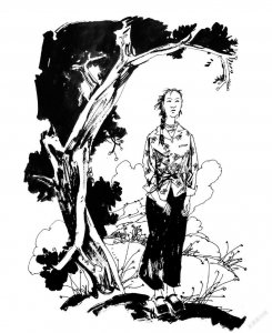 文摘精选：山梁上，老榆树的女人