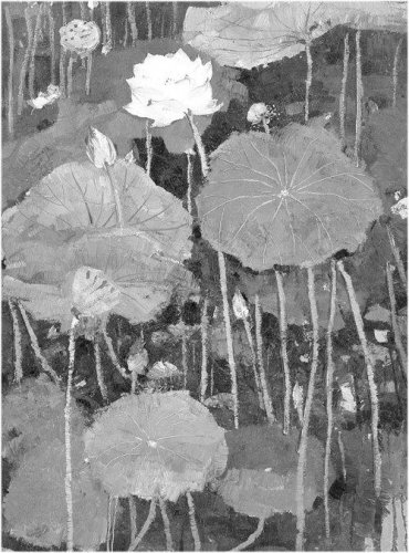 小说节选：菱荡圩