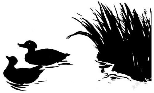 生活随笔：爹娘的那片菜园子