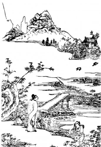 生活随笔：龙眼成熟时