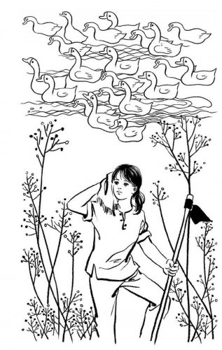 生活随笔：“花的海洋”