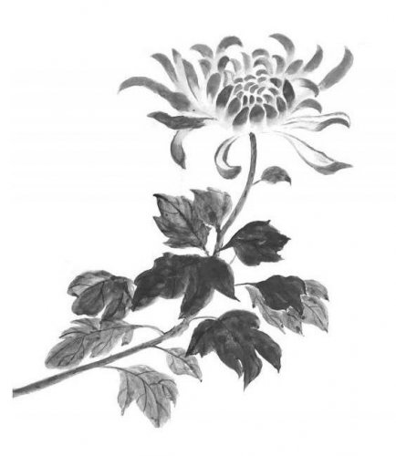 小说节选：小薇的法力