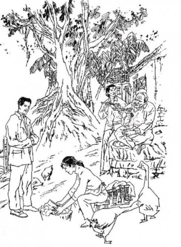 乡野故事：静静流淌的小河
