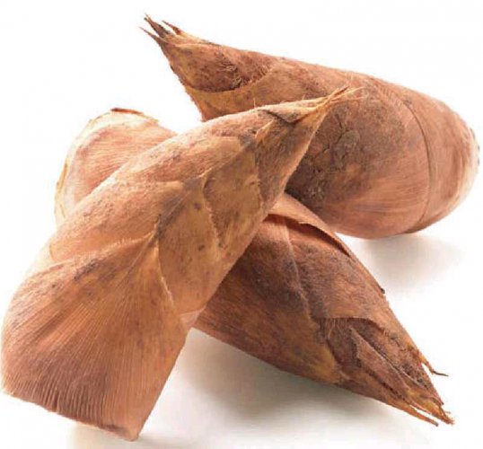 冬笋的烹饪方法，冬笋怎么样做才好吃
