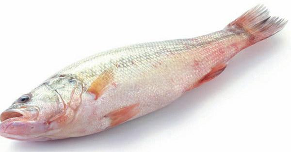 海鲜旺季，热爱海鲜的朋友们可以尽情享用