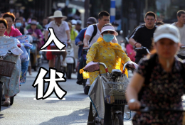 七月 必吃的5种“冠军”菜 鲜嫩营养别错过 有空做给家人吃