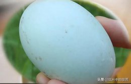 旅游美食 12种突破烹饪界底线的“美食” 颠覆了想象