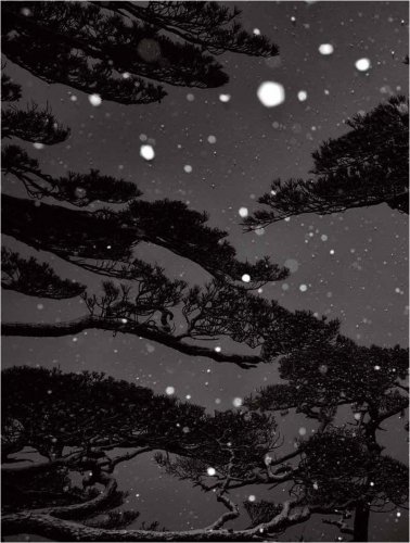 冬雪