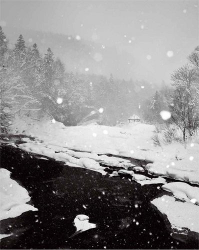 《冬雪》