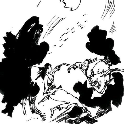 于飞鱼