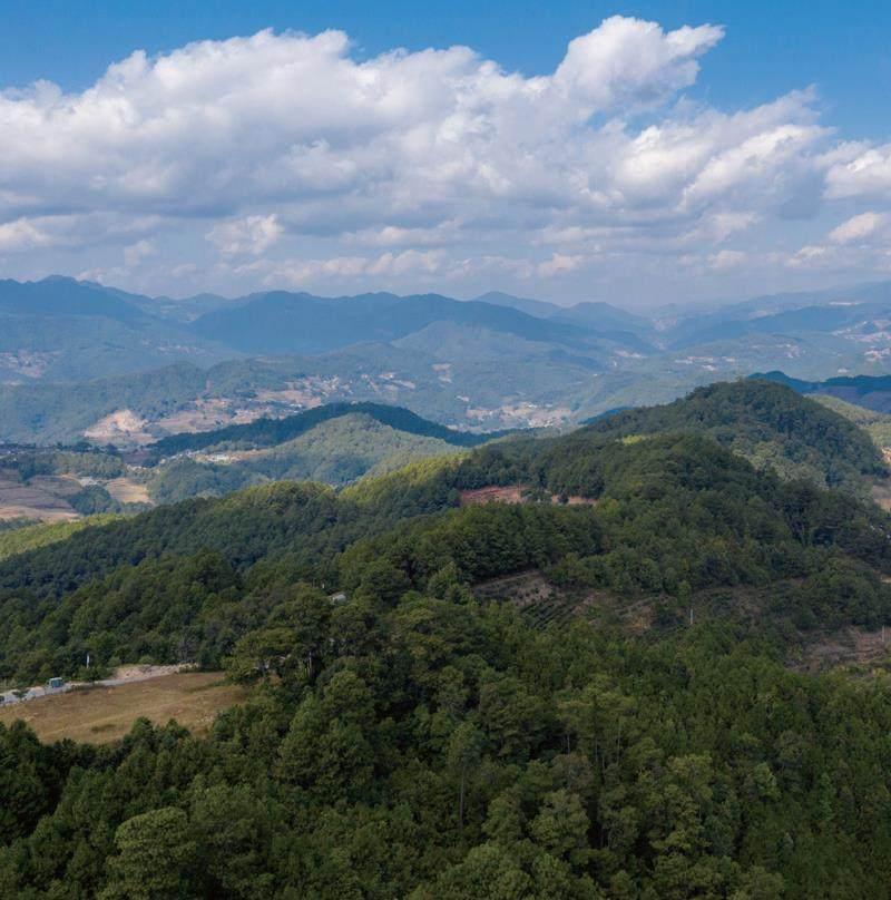 科普哀牢山4名地质调查者确认遇难 绝境中我们该如何自救