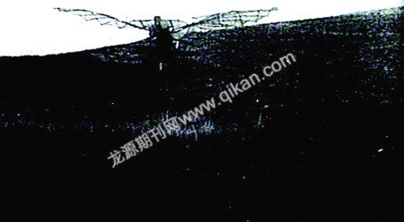师法动物——生灵的碰撞（二）